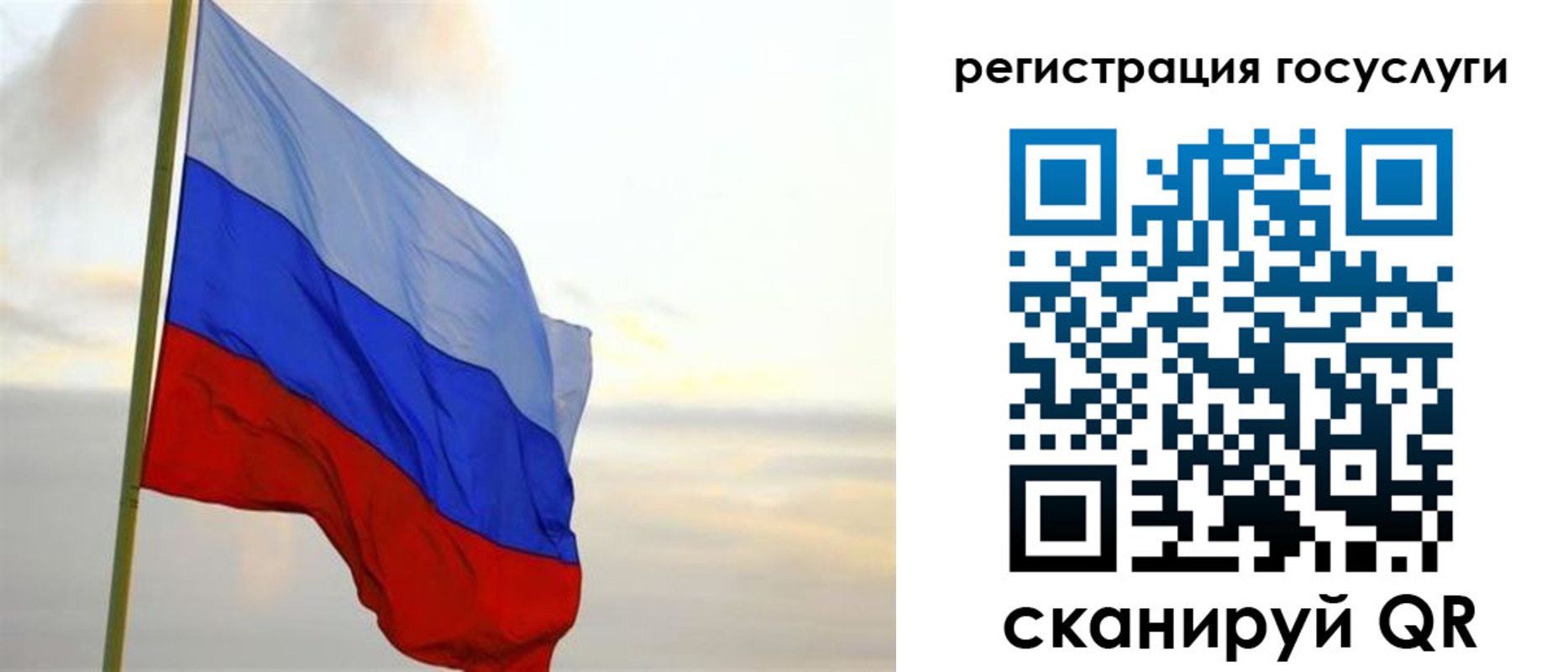 прописка иностранных граждан в Тогучине
